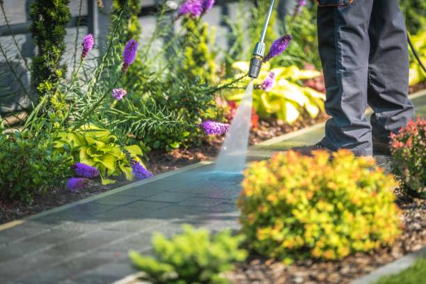 Winterizing Services in Oxnard, CA